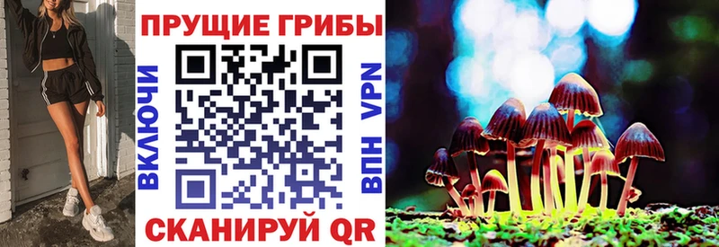 OMG как войти  Полысаево  Галлюциногенные грибы мицелий 